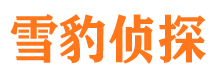 万荣市调查公司